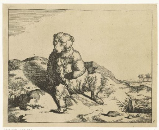 Sitting bear, seen from the front