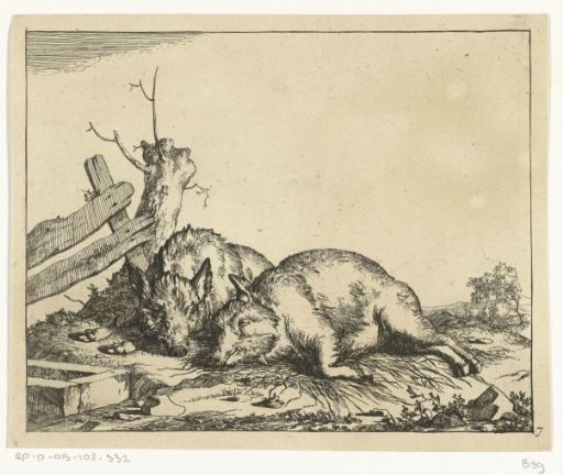 Two pigs lying by a fence