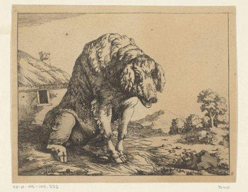 Sow sitting on its hind legs