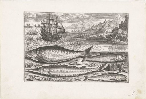 Four Fish on the Beach
