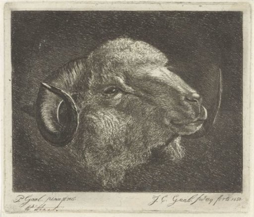 Head of a ram with horns turned backward