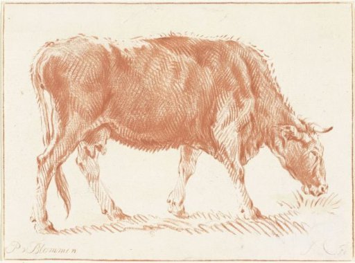 Grazing cow