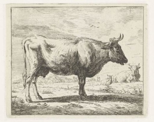 Standing cow, facing right