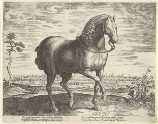 Horse from Gelderland