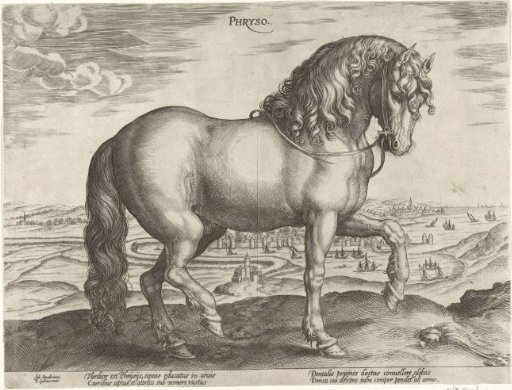 Horse from Friesland