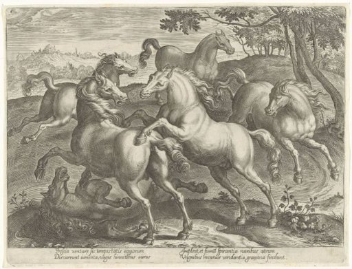 Six fighting horses