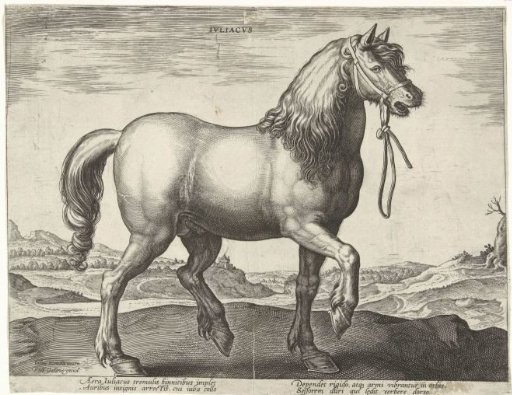 Horse from Jülich (Juliacus)
