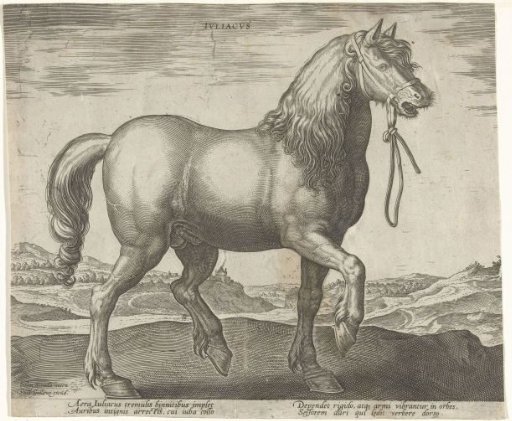 Horse from Jülich (Juliacus)