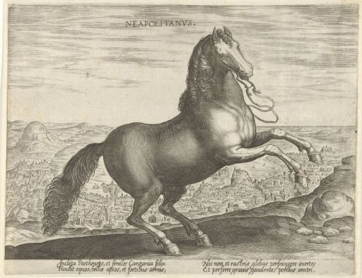 Horse from Naples
