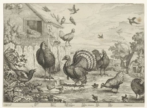 Poultry