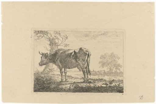 Standing Cow
