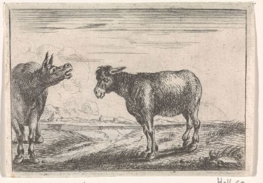 Two Donkeys