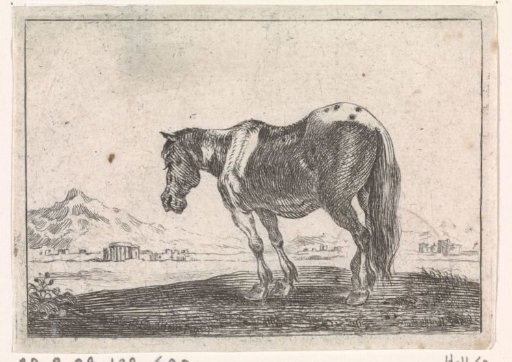 Horse standing in a landscape