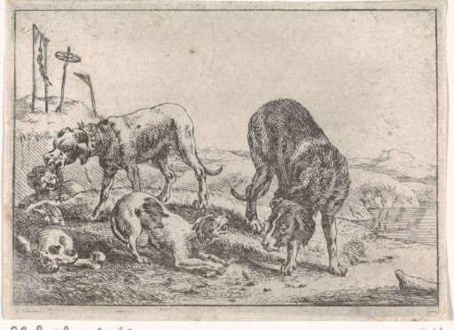 Dogs at a Bone