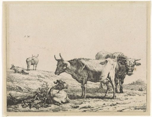 Cow, bull and a calf