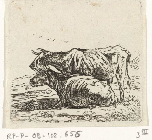 Two cows