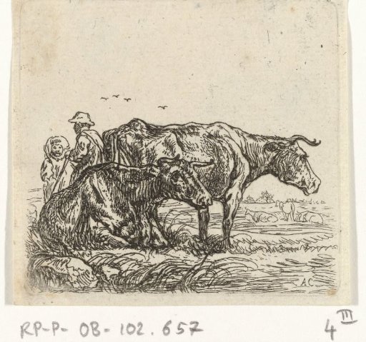 Two cows and shepherds