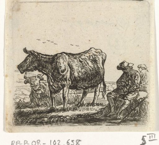 Two cows and shepherds