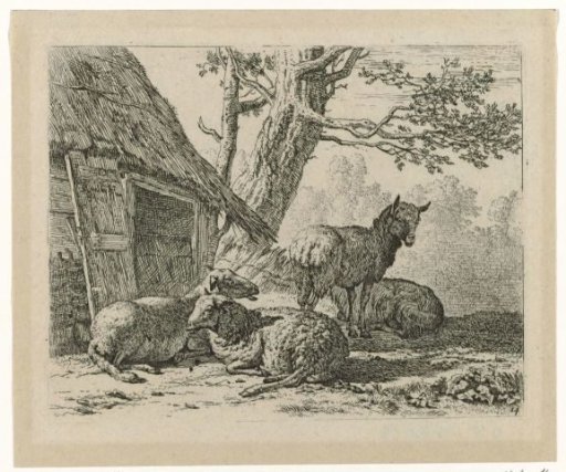 Four Sheep