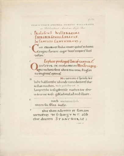 Examples of script from the Manuscript of the Four Gospels from the 10th century, originating from the Abbey of Egmond