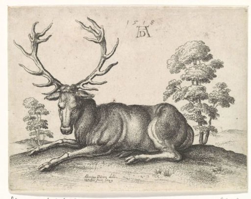 Recumbent Stag, Facing Left