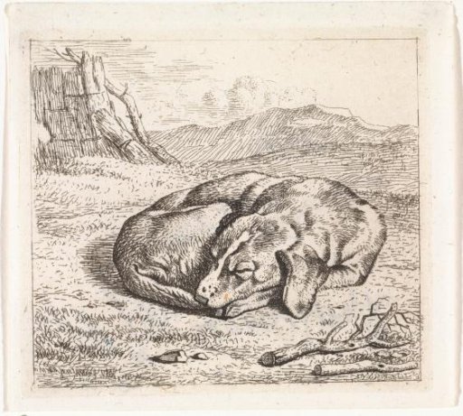Sleeping Dog in a Landscape