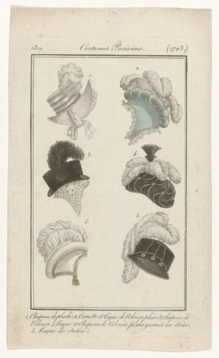 Journal des Dames et des Modes, Costumes Parisiens, 10 February 1819, (1793): 1. Chapeau de pluch (...)