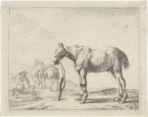 Horse tied to a post facing left