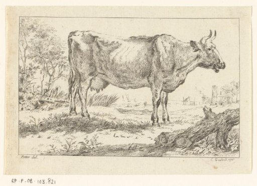 Standing cow