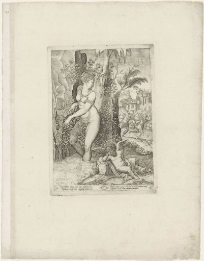 Venus and the Rose