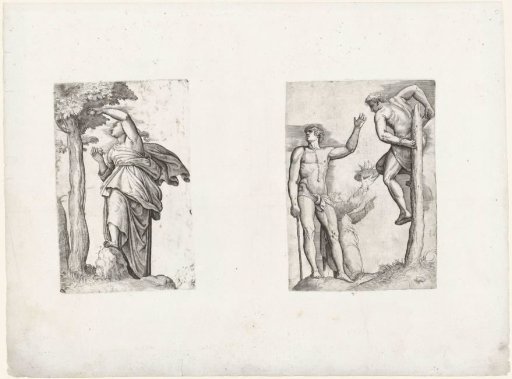 Woman picking fruit from a tree / Young man tied to a tree trunk