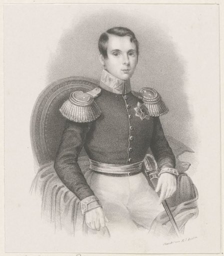 Portrait of William III, King of the Netherlands