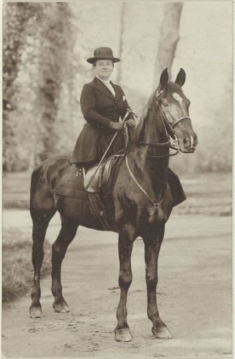Equestrian Portrait of Wilhelmina, Queen of the Netherlands