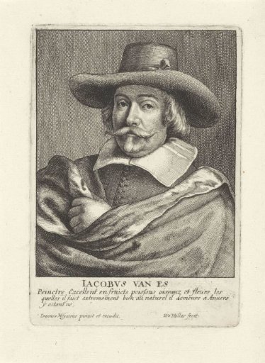 Portrait of Jacob Foppens van Es