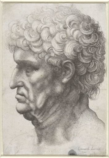 Head of a man with curly hair, in profile