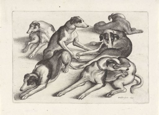 Six Recumbent Hunting Dogs