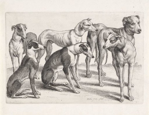 Two Sitting and Four Standing Hunting Dogs