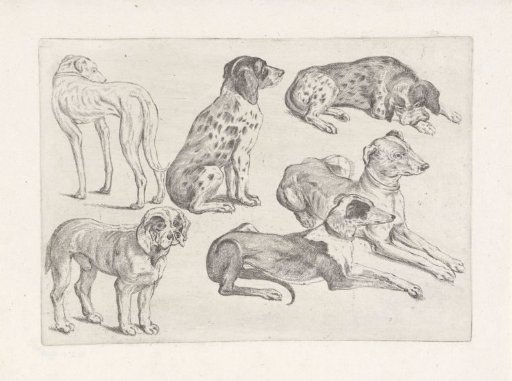 Six Hunting Dogs