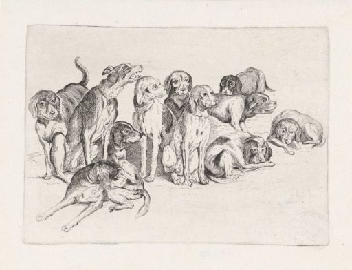 Eleven Hunting Dogs