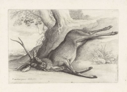 Shot Stag