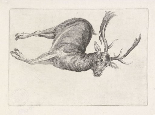 Shot Game: A Dead Stag