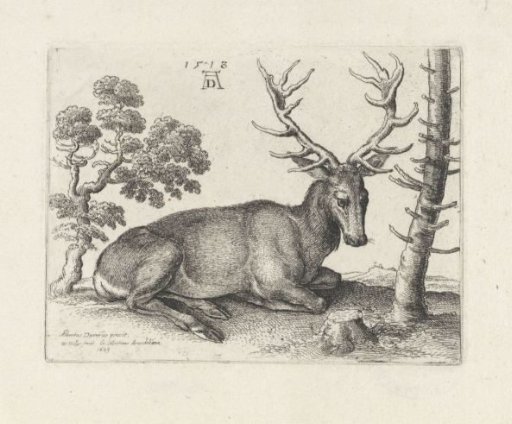 Recumbent Stag, Facing Right