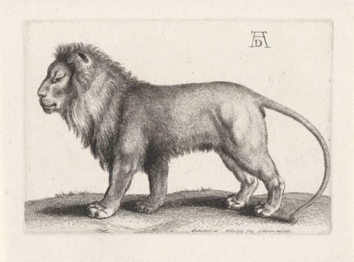Standing Lion
