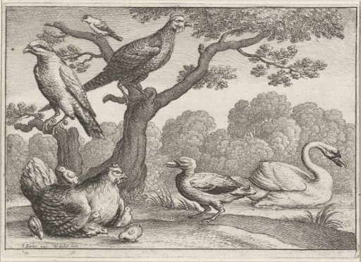 Swan, Hen with Chicks and Other Birds