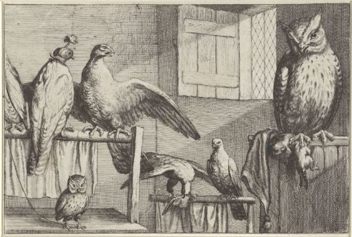 Falcons and Owls in a Barn