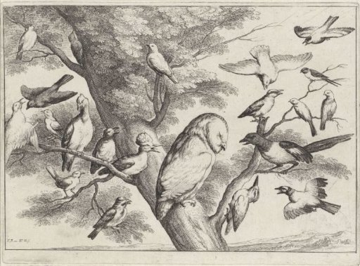 Birds in a Tree
