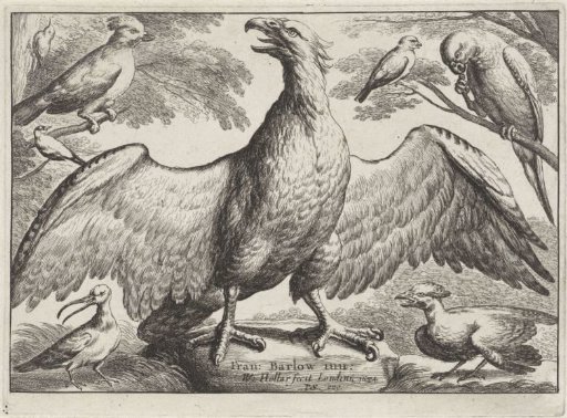 Eagle