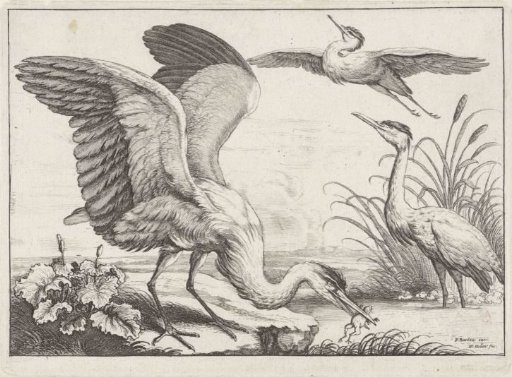 Three Herons