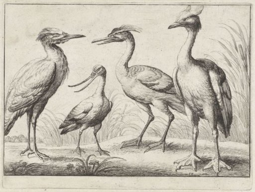 Four Wading Birds