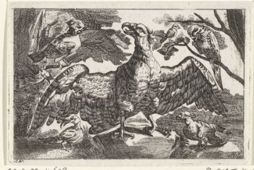 Eagle